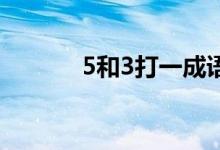 5和3打一成語（3 5打一成語）