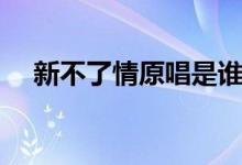 新不了情原唱是誰(shuí)（新不了情歌詞欣賞）