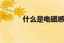 什么是電磁感應(yīng)（有哪些現(xiàn)象）