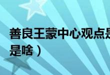 善良王蒙中心觀點(diǎn)是什么（善良王蒙中心觀點(diǎn)是啥）