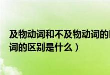 及物動詞和不及物動詞的區(qū)別在哪里（及物動詞和不及物動詞的區(qū)別是什么）