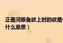 正是河豚魚欲上時的欲是什么意思（正是河豚欲上時的欲是什么意思）