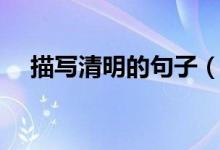 描寫清明的句子（描寫清明節(jié)的好句子）