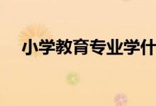小學教育專業(yè)學什么科目（有哪些課程）