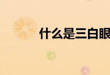 什么是三白眼（三白眼的簡(jiǎn)介）