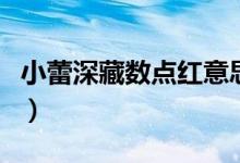 小蕾深藏?cái)?shù)點(diǎn)紅意思是什么（小蕾深藏?cái)?shù)點(diǎn)紅）