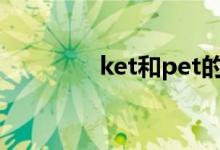 ket和pet的區(qū)別（哪個難）