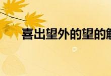 喜出望外的望的解釋（喜出望外的望）