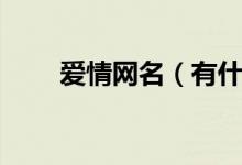 愛情網(wǎng)名（有什么關(guān)于愛情的網(wǎng)名）