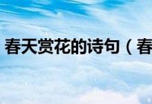 春天賞花的詩句（春天賞花的詩句唯美動(dòng)聽）