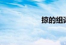 掠的組詞（掠組詞）