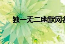獨一無二幽默網(wǎng)名（驚艷的幽默網(wǎng)名）