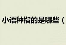 小語(yǔ)種指的是哪些（小語(yǔ)種指的是哪些語(yǔ)種）