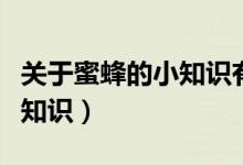 關(guān)于蜜蜂的小知識(shí)有哪些（盤點(diǎn)關(guān)于蜜蜂的小知識(shí)）
