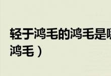 輕于鴻毛的鴻毛是哪種動(dòng)物的毛（輕于鴻毛的鴻毛）
