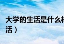 大學的生活是什么樣子的（詳細真實的大學生活）