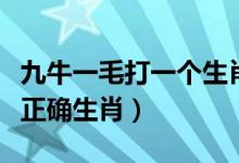 九牛一毛打一個生肖最佳答案（九牛一毛打一正確生肖）