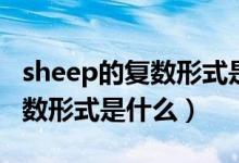 sheep的復(fù)數(shù)形式是什么怎么寫（sheep的復(fù)數(shù)形式是什么）