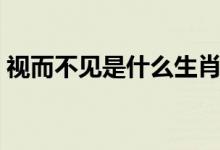 視而不見是什么生肖（視而不見是哪個(gè)生肖）