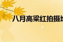 八月高粱紅拍攝地（電視劇內(nèi)容介紹）
