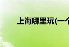 上海哪里玩(一個人窮游散心去哪好)