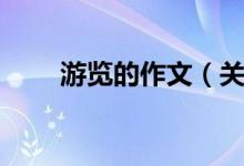 游覽的作文（關(guān)于一次游覽的作文）
