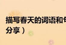 描寫春天的詞語和句子（贊美春天的美妙句子分享）