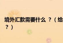境外匯款需要什么 ？（給不同“海外匯款”都需要哪些信息？）
