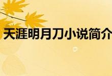 天涯明月刀小說簡介（天涯明月刀小說介紹）