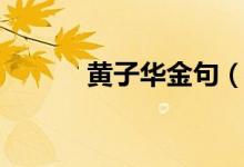 黃子華金句（黃子華經(jīng)典語錄）