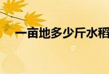一畝地多少斤水稻（一畝地多少平方米）