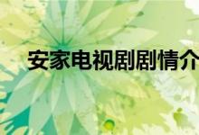 安家電視劇劇情介紹（電視劇安家簡介）