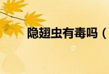 隱翅蟲有毒嗎（隱翅蟲是吃什么的）