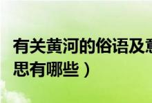 有關(guān)黃河的俗語(yǔ)及意思（有關(guān)黃河的俗語(yǔ)及意思有哪些）