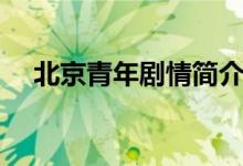 北京青年劇情簡介（北京青年劇情介紹）