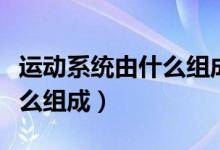 運動系統(tǒng)由什么組成最新說法（運動系統(tǒng)由什么組成）