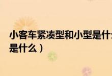 小客車緊湊型和小型是什么意思（小客車緊湊型和小型意思是什么）