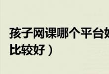 孩子網(wǎng)課哪個平臺好（孩子想上網(wǎng)課哪個平臺比較好）