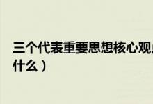 三個代表重要思想核心觀點(diǎn)的感悟（三個代表的核心觀點(diǎn)是什么）