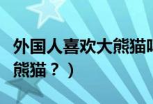 外國人喜歡大熊貓嗎（外國人到底有多喜歡大熊貓？）