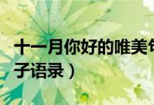 十一月你好的唯美句子（關(guān)于十一月的唯美句子語(yǔ)錄）
