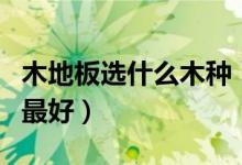 木地板選什么木種（實木地板選擇哪種木材的最好）