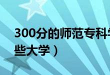 300分的師范?？茖W(xué)校有哪些（2021能上哪些大學(xué)）