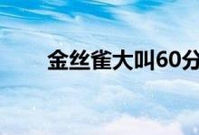 金絲雀大叫60分鐘無雜音（金絲雀）