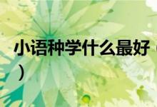 小語種學什么最好（就業(yè)前景好的小語種專業(yè)）