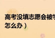 高考沒填志愿會被學(xué)校錄取嗎（錯過志愿填報(bào)怎么辦）