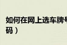 如何在網(wǎng)上選車(chē)牌號(hào)（如何從網(wǎng)上選擇車(chē)牌號(hào)碼）