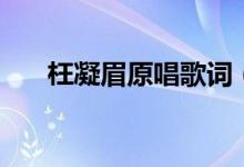 枉凝眉原唱歌詞（枉凝眉是誰(shuí)演唱的）