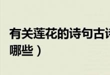 有關蓮花的詩句古詩（有關蓮花的詩句古詩有哪些）
