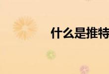 什么是推特（推特的簡介）